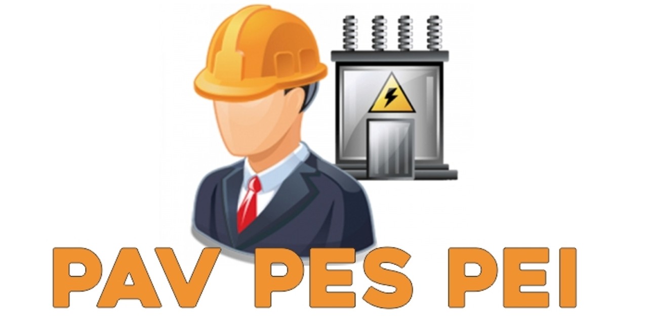Logo qualifica PAV PES PEI per lavori elettrici